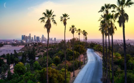 CA Christie’s affiliates show huge growth in year of new partnerships