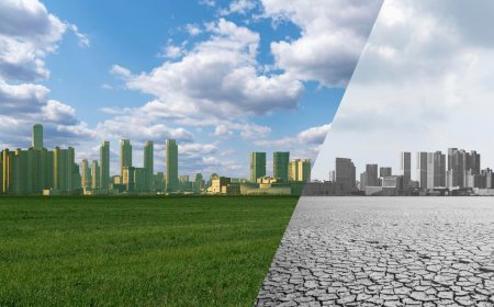 Decarbonisation And The Green Transition In Construction: Logical, Cost-Effective, And Inevitable